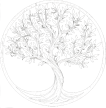 Tree of Life